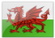 The Welsh flag