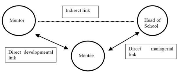 Mentoring academic staff flowchart