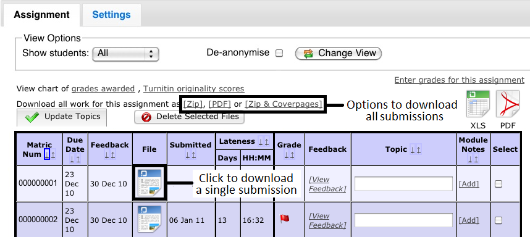 The assignment overview with the download options highlighted