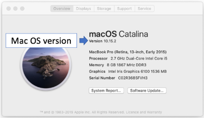 A screenshot of the MacOS version dialogue